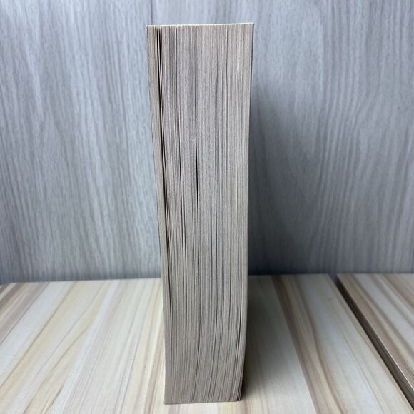 The Outcasts: Brotherband Chronicles Book 1 John Flanagan First Book Of Series - Picture 4 of 6